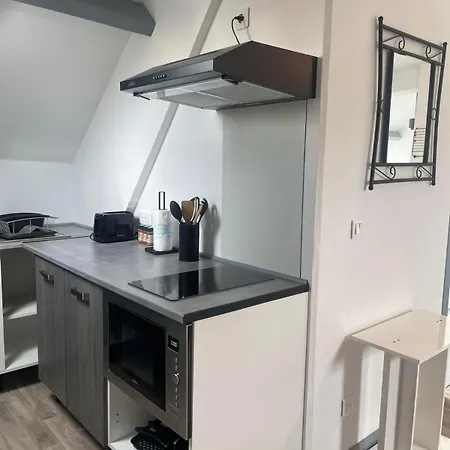 Apartment Rimbaud, Loft Renove Face Au Chateau De Sedan *